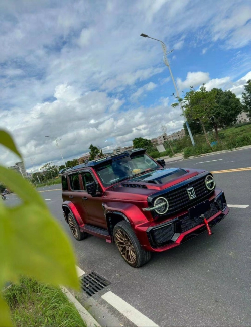 Ravoony Plus PET Matte Chrome Romanee Red Vinyl Car Wrap review 