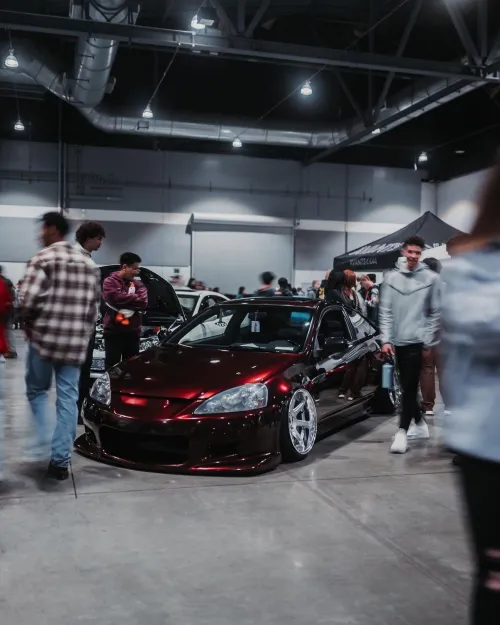 Ravoony Plus Gloss Black Rose Vinyl Wrap review 