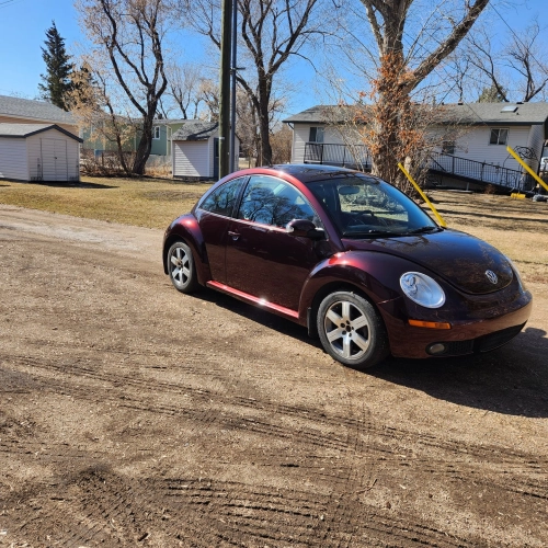 Ravoony Plus PET Gloss Black Rose Vinyl Wrap review 