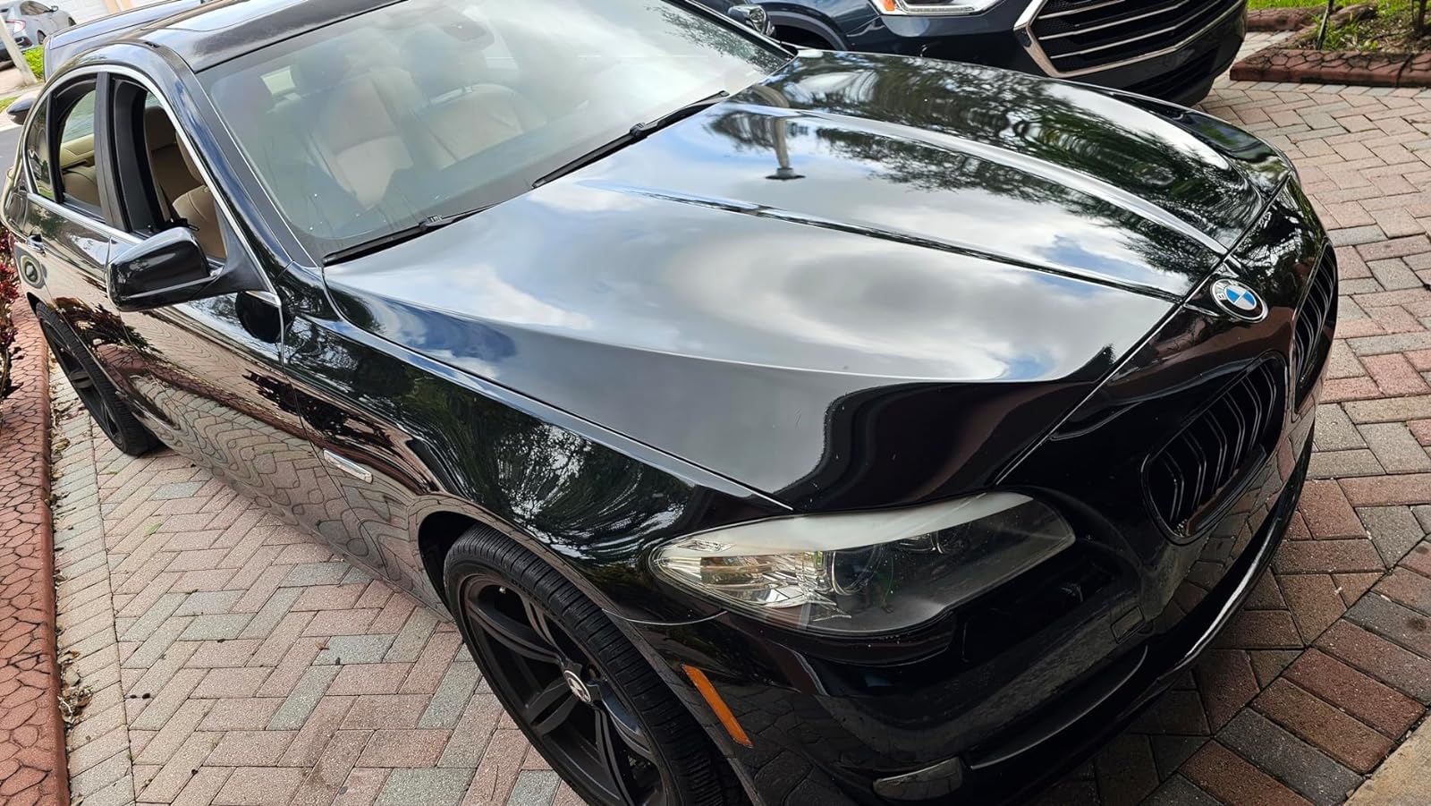 Ravoony Plus PET High Gloss Black Car Wrap review Tevon Harris