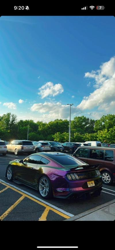 Ravoony Plus Gloss Flowing Phantom Purple Chameleon Wrap review Anthony Hernandez 03