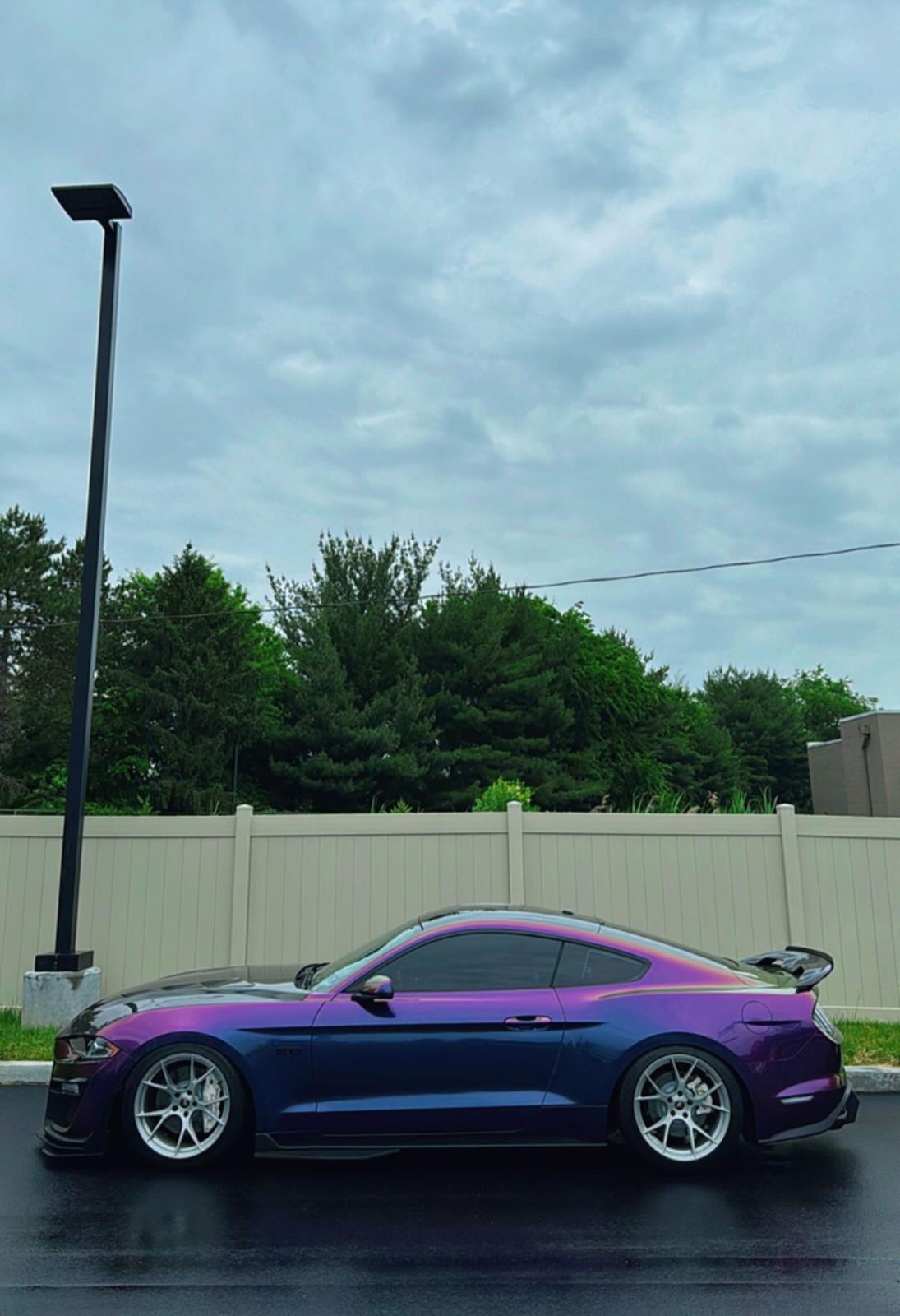 Ravoony Plus Gloss Flowing Phantom Purple Chameleon Wrap review Anthony Hernandez 00