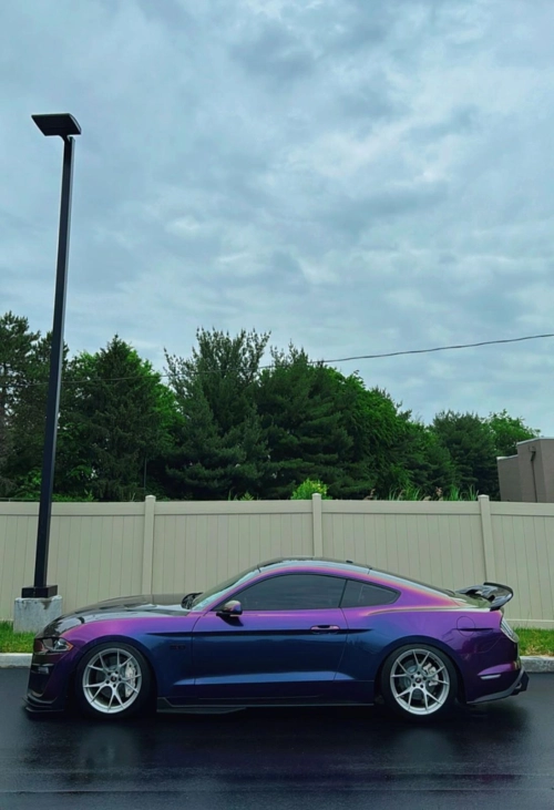 Ravoony Plus Gloss Flowing Phantom Purple Chameleon Wrap review 