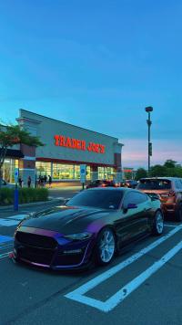 Ravoony Plus Gloss Flowing Phantom Purple Chameleon Wrap review 2