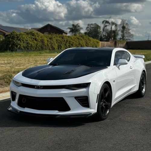 Ravoony Plus PET Crystal White Car Vinyl Wrap review 