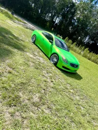 Ravoony Plus Kelly Green Vinyl Wrap review 0