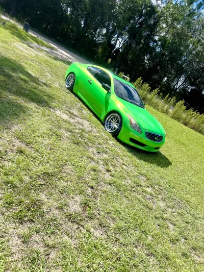 Ravoony Plus Kelly Green Vinyl Wrap review Aj 00