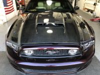 Ravoony Plus Gloss Black Rose Vinyl Wrap review 0