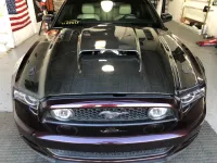 Ravoony Plus Gloss Black Rose Vinyl Wrap review 0