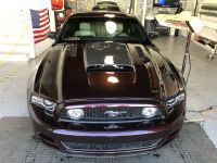 Ravoony Plus Gloss Black Rose Vinyl Wrap review 2