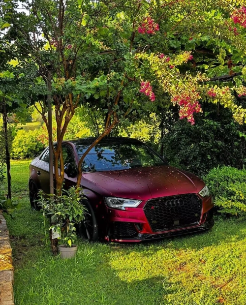 Ravoony Plus PET Matte Chrome Romanee Red Vinyl Car Wrap review 