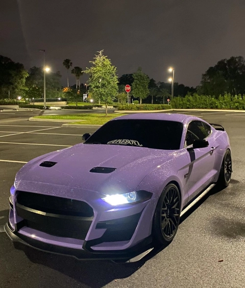 Ravoony Plus PET Glossy Lavender Purple Car Wrap review 