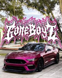 Ravoony Plus PET Glossy Metallic Rubellite Purple Vinyl Wrap review 0