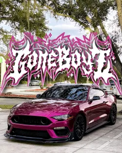 Ravoony Plus Glossy Metallic Rubellite Purple Vinyl Wrap review morris hayes