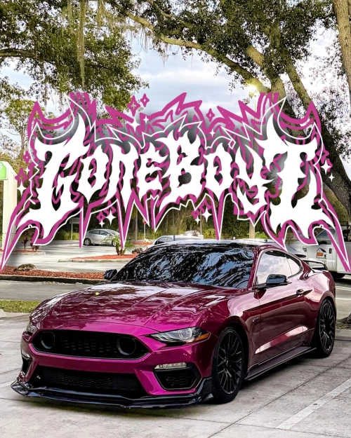 Ravoony Plus PET Glossy Metallic Rubellite Purple Vinyl Wrap review 