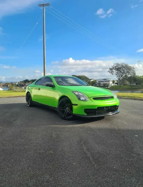 Ravoony Plus Kelly Green Vinyl Wrap review 