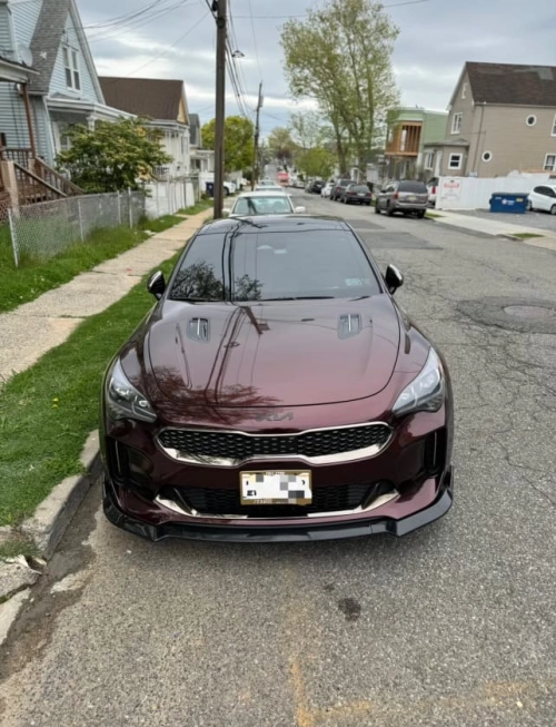 Ravoony Plus PET Gloss Black Rose Vinyl Wrap review 