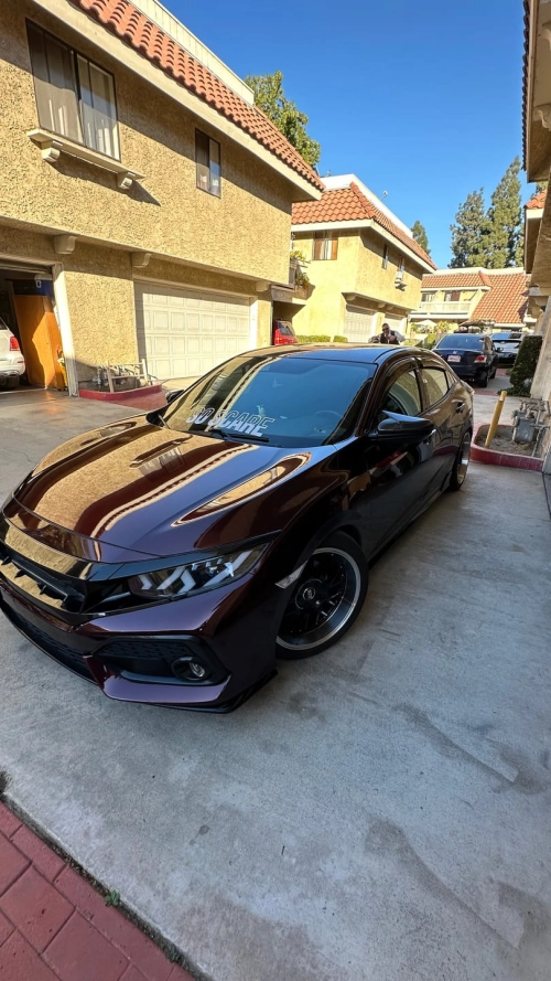 Ravoony Plus PET Gloss Black Rose Vinyl Wrap review 