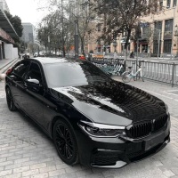 Ravoony Plus PET High Gloss Black Car Wrap review 0