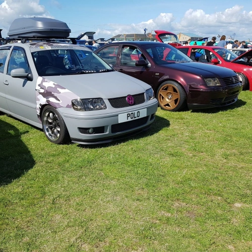 Ravoony Plus PET Gloss Black Rose Vinyl Wrap review 