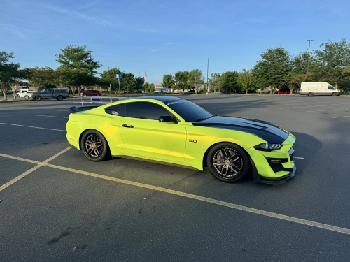 Ravoony Plus Magic Gold Fluorescence Car Vinyl Wrap review 