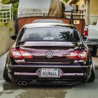 Ravoony Plus Gloss Black Rose Vinyl Wrap review 1