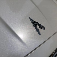 Ravoony Plus Sparkle White Car Vinyl Wrap review 0