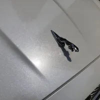 Ravoony Plus Sparkle White Car Vinyl Wrap review 0