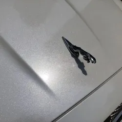 Ravoony Plus Sparkle White Car Vinyl Wrap review Eric Johnson