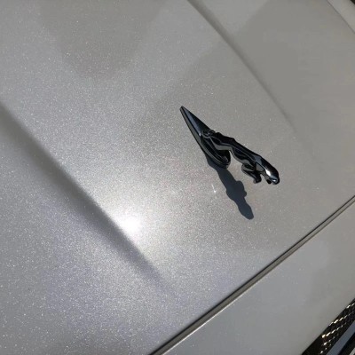Ravoony Plus Sparkle White Car Vinyl Wrap review Eric Johnson