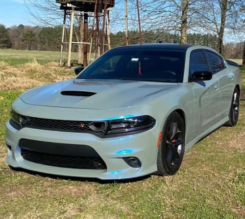 Ravoony Plus PET Fancy Rock Grey Color Fliper Car Wrap review 