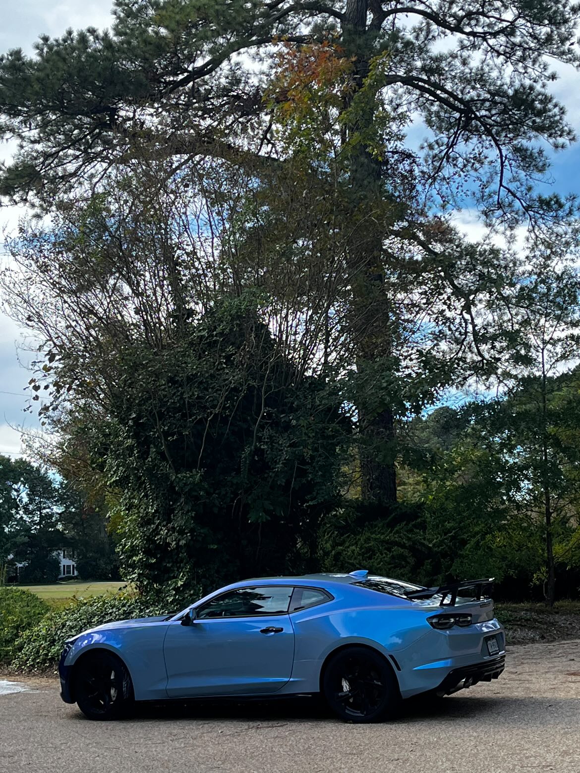 Ravoony Plus Fancy Rock Grey Color Fliper Car Wrap review Khakim Abasov