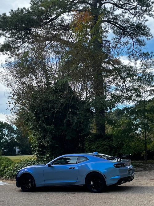 Ravoony Plus PET Fancy Rock Grey Color Fliper Car Wrap review 