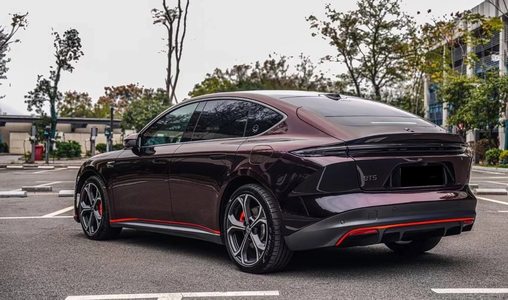 Ravoony Plus Gloss Black Rose Vinyl Wrap review Thien Le 01