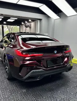 Ravoony Plus Gloss Black Rose Vinyl Wrap review Flavia Suero 01