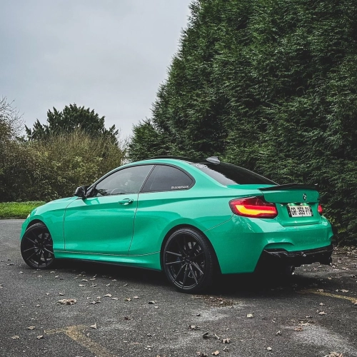 Ravoony Plus PET Glossy Porsche Light Green Car Wrap review 