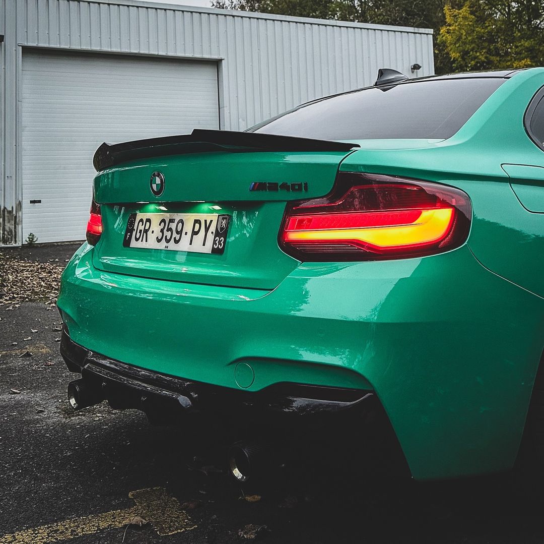 Ravoony Plus PET Glossy Porsche Light Green Car Wrap review lulu 01