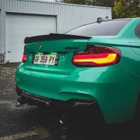Ravoony Plus Glossy Porsche Light Green Car Wrap review 1