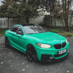 Ravoony Plus PET Glossy Porsche Light Green Car Wrap review lulu 03