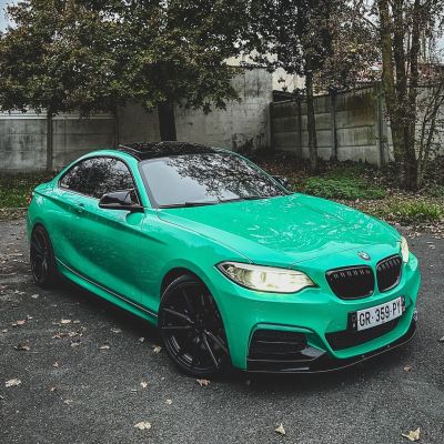 Ravoony Plus PET Glossy Porsche Light Green Car Wrap review lulu 02