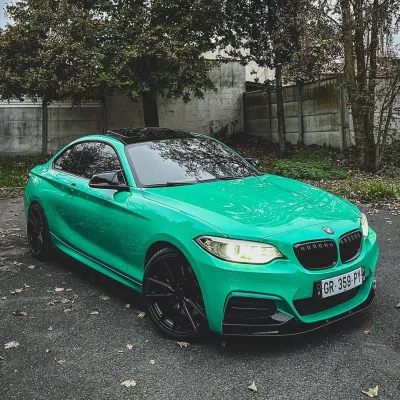 Ravoony Plus Glossy Porsche Light Green Car Wrap review lulu 02