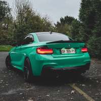 Ravoony Plus PET Glossy Porsche Light Green Car Wrap review 3