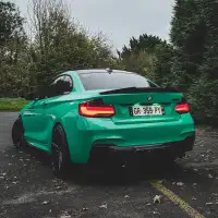 Ravoony Plus Glossy Porsche Light Green Car Wrap review 3