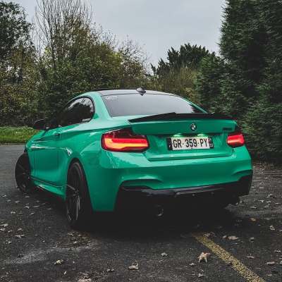Ravoony Plus PET Glossy Porsche Light Green Car Wrap review lulu 03