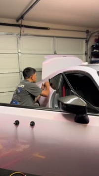 Ravoony Plus Glossy Flower Pink Car Wrap review spittlesmedia
