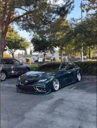 Ravoony Plus Blackish Green Car Vinyl Wrap review 0