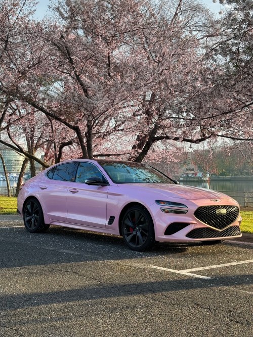 Ravoony Plus Gloss Laser Light Pink Car Wrap review 