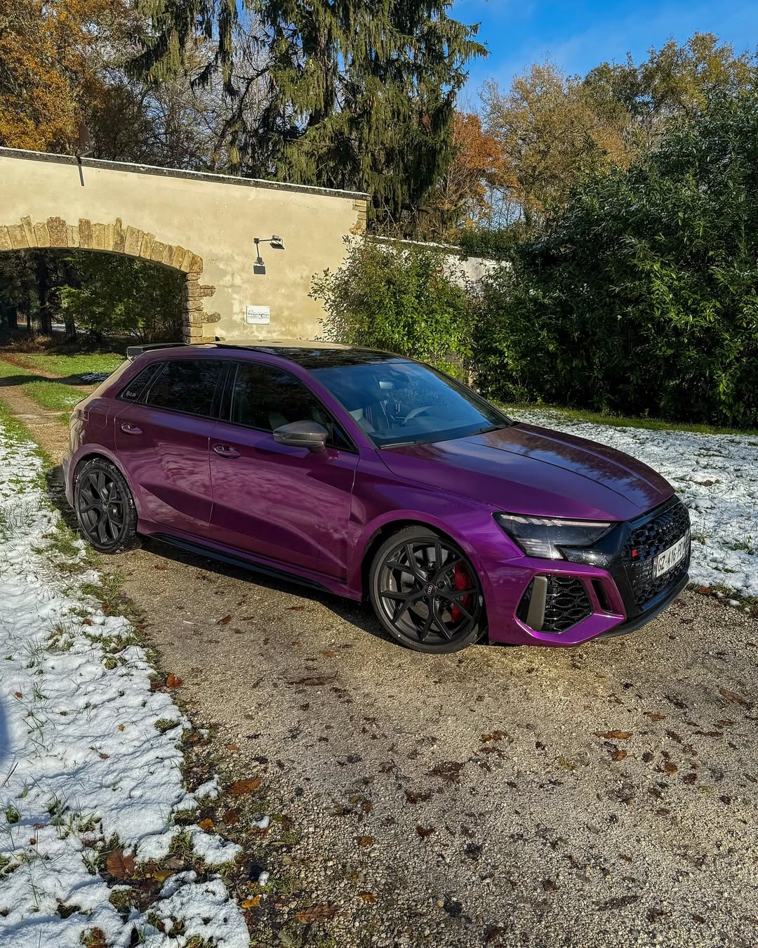   Ravoony Plus Ultra Gloss Metal Paint Grape Purple Vinyl Wrap review Alci da Silva 00