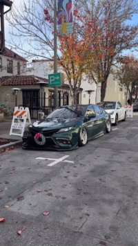 Ravoony Plus Blackish Green Car Vinyl Wrap review Thien