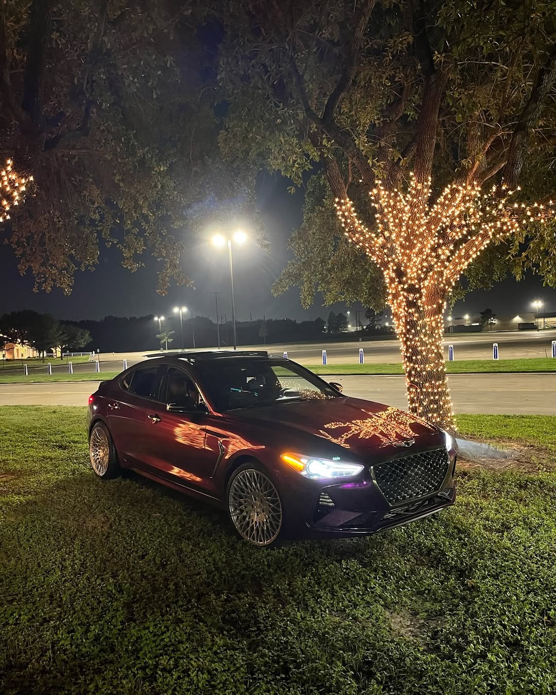   Ravoony Plus Ultra Gloss Metal Paint Grape Purple Vinyl Wrap review Davion 01